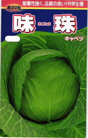 楽天市場 味珠 キャベツの通販