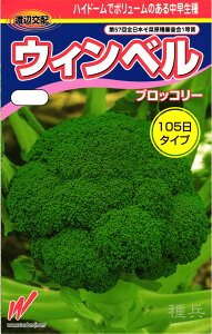 �u���b�R���[ �� �w�E�B���x���x �n�Ӕ_��