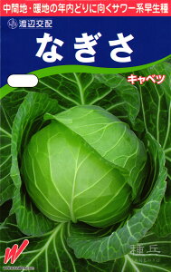 �T���[�L���x�c �� �w�Ȃ����x �n�Ӕ_��