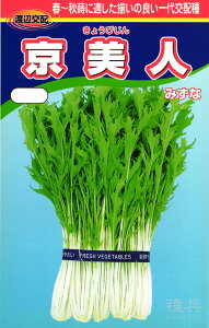 ~Yi  wli傤тjx nӔ_