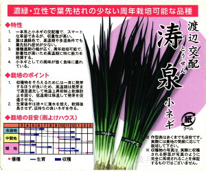 �t�l�M �� �w����x �n�Ӕ_��