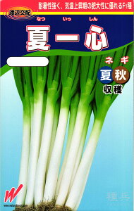 [lM  wĈSiȂjx nӔ_