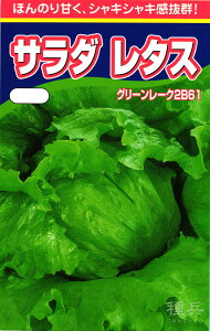 ^X  wO[[N2B61x nӔ_