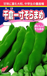 \}  wqꐡ\x nӔ_