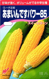 スイートコーン 種 『あまいんですパワー85』 渡辺農事