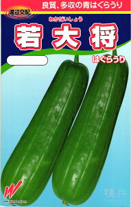 nOE  w叫i킩傤jx nӔ_