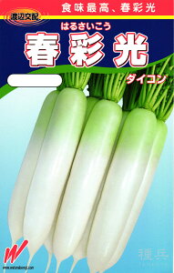 初夏どりダイコン 種 『春彩光(はるさいこう)』 渡辺農事