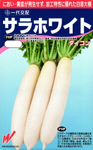 ~ǂ_CR  wTzCgx nӔ_