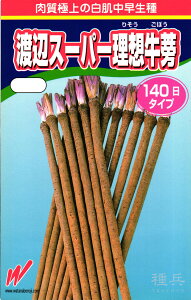 S{E  wnӃX[p[zx nӔ_