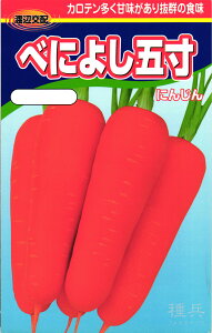 jW  wׂɂ悵ܐx nӔ_