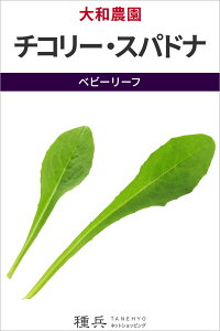 xr[[t  w`R[EXphix a_