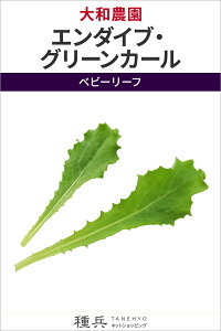 xr[[t  wG_CuEO[J[x a_