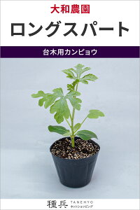 ؗpJsE  wOXp[giFHD-18jx a_