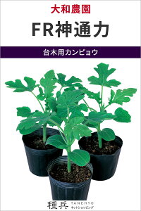 ؗpJsE  wFR_ʗ́x a_