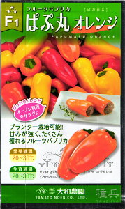 pvJ  wςՊہyIWzx a_