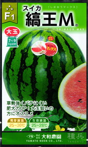 ʃXCJ  wȉMy}bNXzx a_