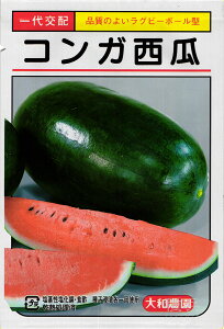 ȉ~璆ʃXCJ  wRKx a_