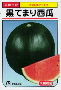 珬ʃXCJ  wĂ܂x a_