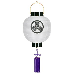 LEDCXEFJCgA42cm×Fa38cmAVNAփEFJCgA݂艺A~