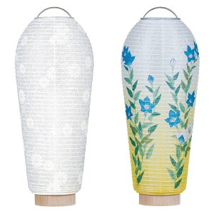 ~j~񓔃Zbgi2ji~l{lGDlj25cm×Α܌a10cmCX