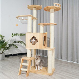 �L���b�g�^���[ �˂����� �c�C���^���[ �ؐ� �����u�� �i �L���b�g�c���[ �L�^���[ �V�R�� �܂Ƃ� �L���b�g�n�E�X ������� �C���e���A �j