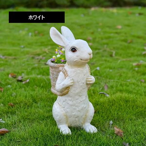 K[fI[ig rbg   킢 K[fIuWF u CeA ԕr Aؔ  뉀   p zCg CG[