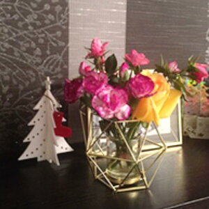 Lh X^h C [\N z_[ Lhp p ϋv ύ 􉽊wI GKg ͋C Ƃ̑ 