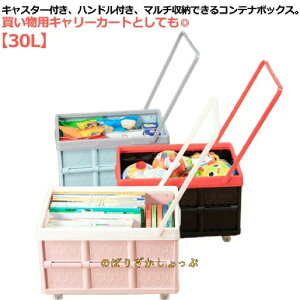 [{bNX ܂肽 Rei LX^[t nht t^t JSt L[J[g L[S  Rei{bNX ᔠ   [