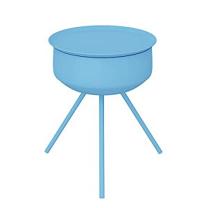 e[u 2i ی^ gCe[u X`[ iCge[u ăxbhTChe[u R[q[e[uy[Xt (C, 36*60cm)