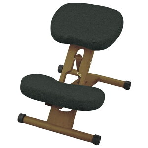 uhȂwK`FA v|[V`FA-_[NubN