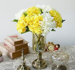  CeA t[AWg F2{Zbg u[P p[c 傫  v[g