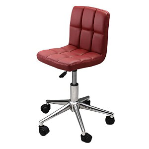 fXN`FA LX^[t ֎q WY-451C ] ~ `FA Lb` (ubN)