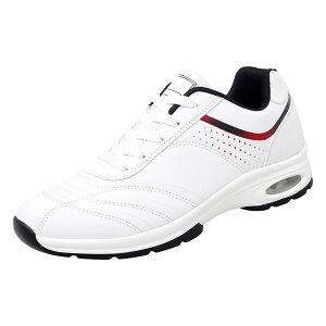 Xj[J[ Y  Y Xj[J[ WMO JWAV[Y ^C EH[LO lC g[jOV[Y ɂ񂮃V[Y Y jOV[Y jp 