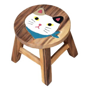 XJ[tL ~PlR ؐ CX ֎q EhXc[ AWAG