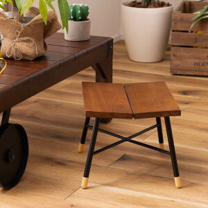 Xc[ ʍ25cm ؐ k ֎q  CX `FA lp VR X`[ | RpNg  `FA[ ~j`FA  rO TChe[u ԑ fBXvC