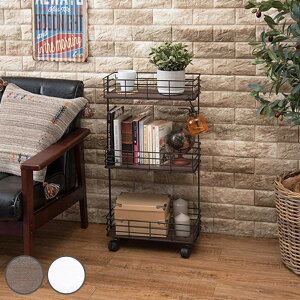 Lb`S X^Cv 3i LX^[t ؐI 41cm [bN [ S bN X i [I I fBXvCbN ړIbN Vv