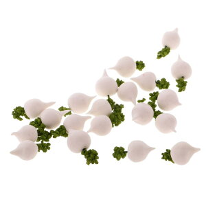 10 1:12XP[ h[nEX ~j`A AfUC  ~j Lb` Hi l`̉ ANZT S9ޑIׂ - 2