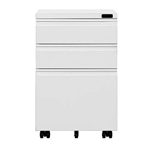 fXNS TChS bN _C LX^[t e ItBX [ e 3i LX^[t X`[ (ubN)