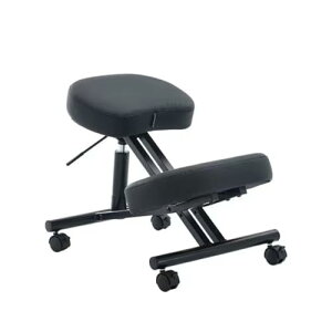 oX`FA v|[V`FA p ֎q LX^[t KX~  ω׏d150kg ɗ\h pT|[g (ubN)