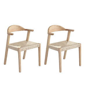 _CjO`FA ֎q 2rZbg I[N ؐ It y[p[R[h i H`FA CX rO`FA  JtF`FA lC i 48×s49×70.5cm (I[N+E