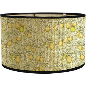 vVF[h v̎P |  VfAvJo[ a ΂̐Ãp^[  