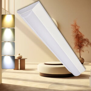 LEDx[XCg 20W` 2 txm^LEDx[XCg 60cm ̌^ LEDu 20W` x[XCgLED 20W^ txm LEDu ^ ̌^ V䒼t^ ǌu 20`