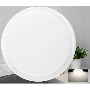 V[OCg  ֓ Ɩ LED ی^ LEDV[OCg 4 6 ^V[ dF F F F d10W S2000LM L gC