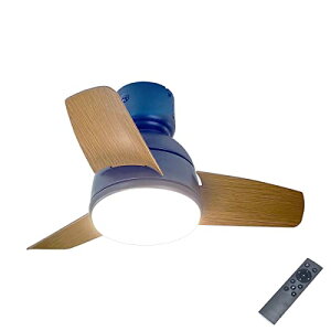 ÉDC[^[EV[Ot@Cg ^3H LEDCg Rty4`6ziFEʁE߁j [nCgS30cm |V[OΉ i`^z