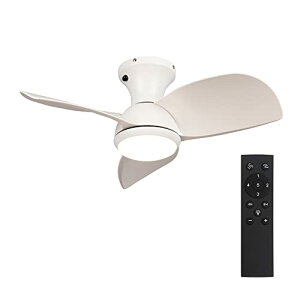 V[Ot@Cg Ɩ t@ ^3H LED`bv 3u[hX^C DC[^[ VƖ Ɩ ȃGl 3H  Rt EF  (uE)