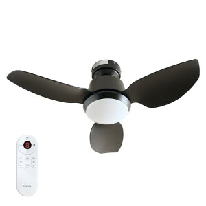 DC[^[ uVX Â ȃGl Q C R R  LEDF Ɩ V[Ot@Cg