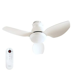 DC[^[ uVX Â ȃGl Q C R R  LEDF Ɩ V[Ot@Cg