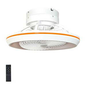 Eh ی^V[Ot@Cg `8 |V[Op a48cm F ʉ]@ؑփR IWO