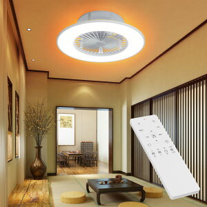 V[Ot@Cg V[Ot@ F^Cv t@tƖ ʒ Rt Ɩ VƖ Px ȃGl 铔[h ƒp q  ȃGl Hsv