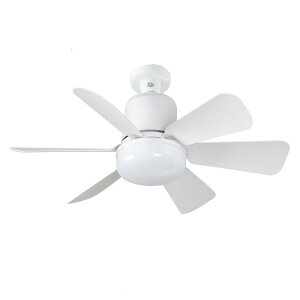 LEDt@Cg ^ a42cm Rt E26 L͈  F q u gC ʏ Lb`